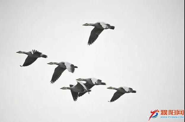微信图片_20180515160824.jpg