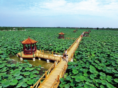 p39_b.jpg