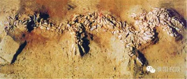 575c638.jpg