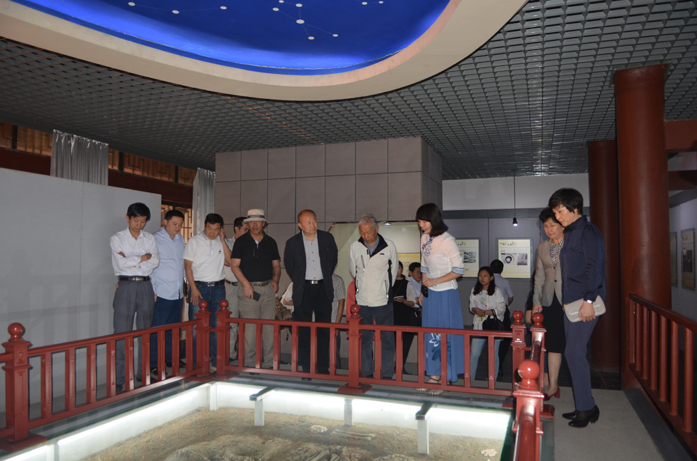 DSC_3791.JPG