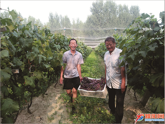 微信图片_20190606074748.png