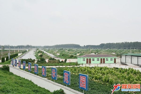 产业扶贫 遍地生金.jpg