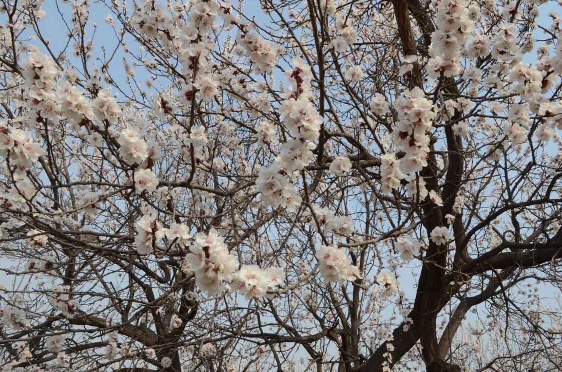 QQ图片20160322181710.jpg