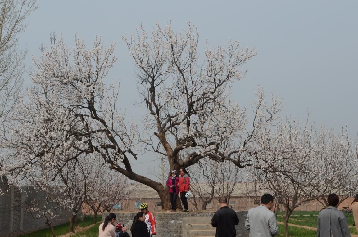QQ图片20160322181818.jpg