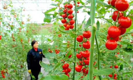 1461062386179012.jpg 8.jpg