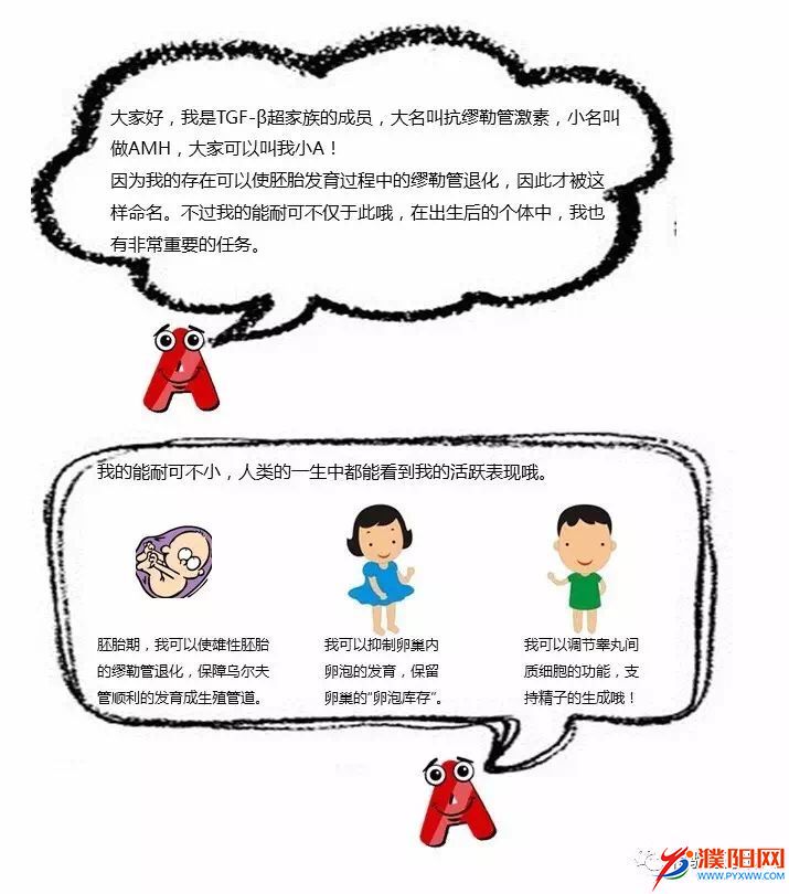 11微信图片_20170502102903.jpg