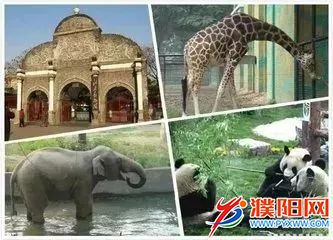 640.webp (12).jpg
