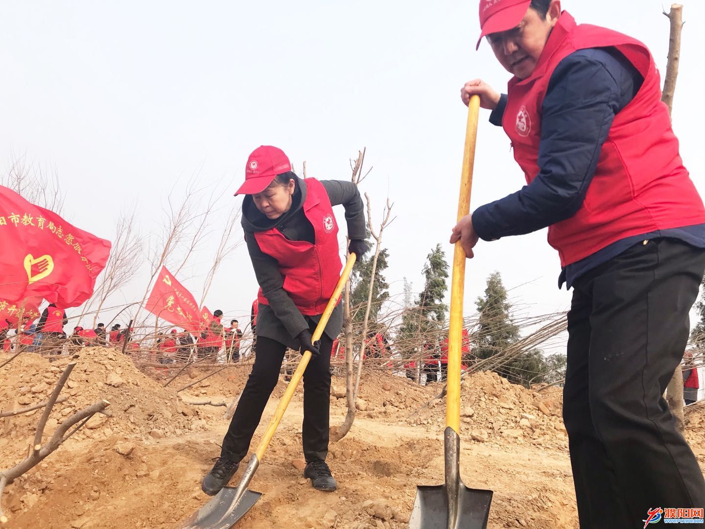 微信图片_20190228111025.jpg