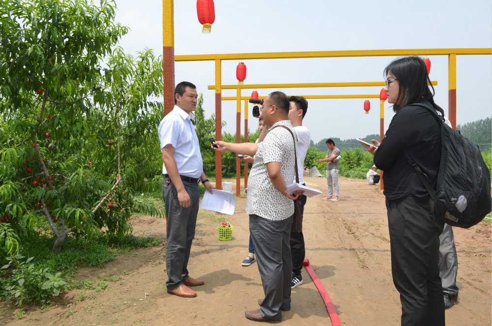 DSC_5100_meitu_7.jpg