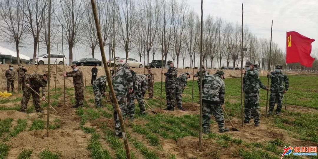 南乐县张果屯镇：组织基干民兵参加植树造林活动