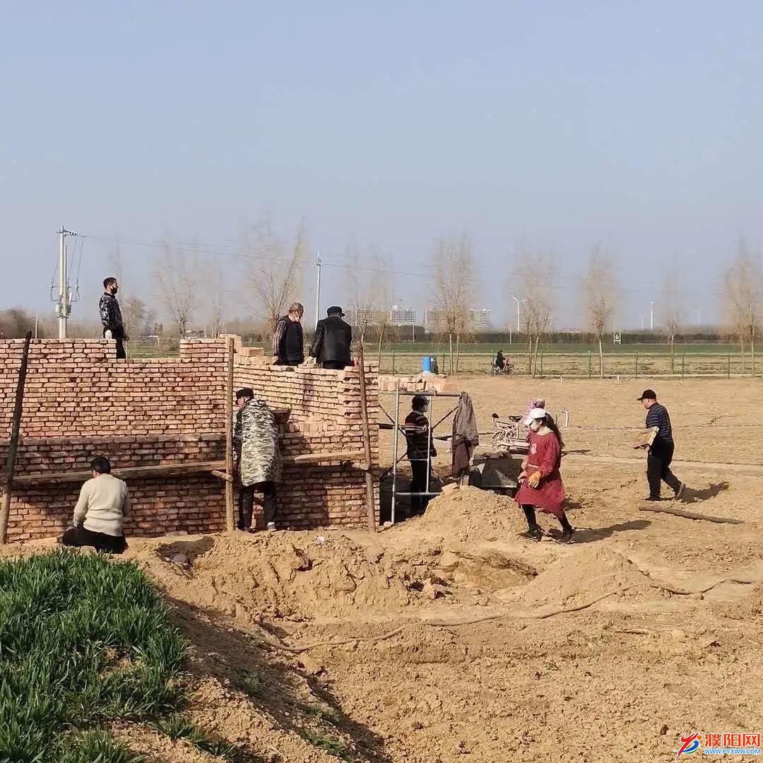 南乐县：集体土地“活起来” 村民钱包“鼓起来”