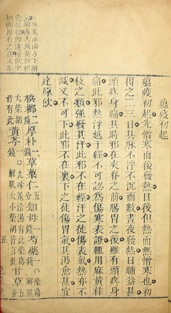02挖坑种树.jpg