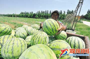 82ab5bf0-643b-440d-be1b-02d.jpg