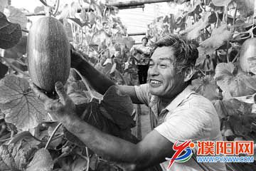 a8035fc4-d60c-47f2-b38d-9ab.jpg