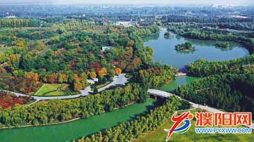 f960e322-04dc-439e-a646-f46.jpg