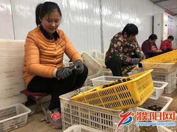 49615ffd-66bb-416b-89bf-6bc.jpg
