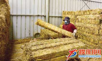 00f8be5a-01f1-4b5f-a9b9-be8.jpg