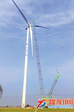 cce3ec99-cddf-46ef-8cd4-ae9.jpg