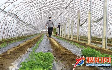 a69030d2-251c-4888-b996-4c6.jpg
