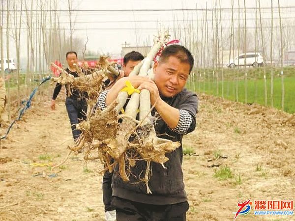 河南汝南常兴镇：“三个衔接”让乡村振兴加速跑