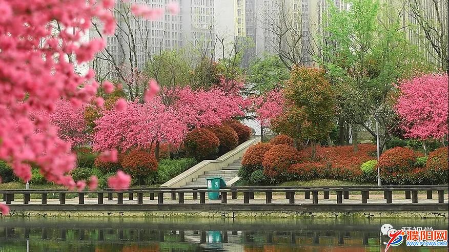 微信图片_20211231095332.jpg