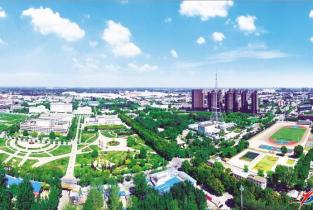 我市持续巩固提升国家森林城市创建成果综述