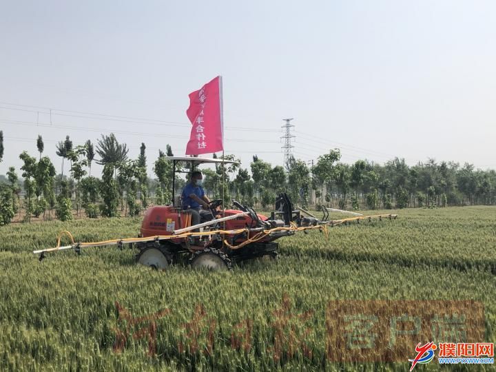 “藏粮于技”的濮阳实践