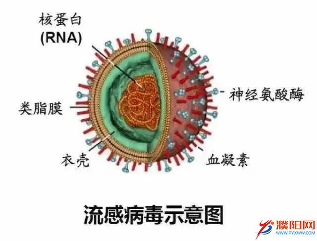 微信图片_20201202171724.jpg