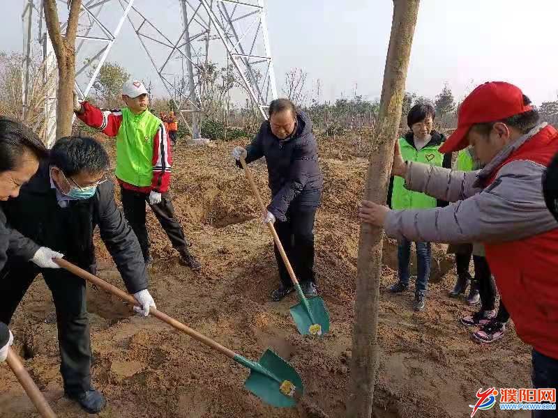 濮阳组织开展冬季义务植树活动