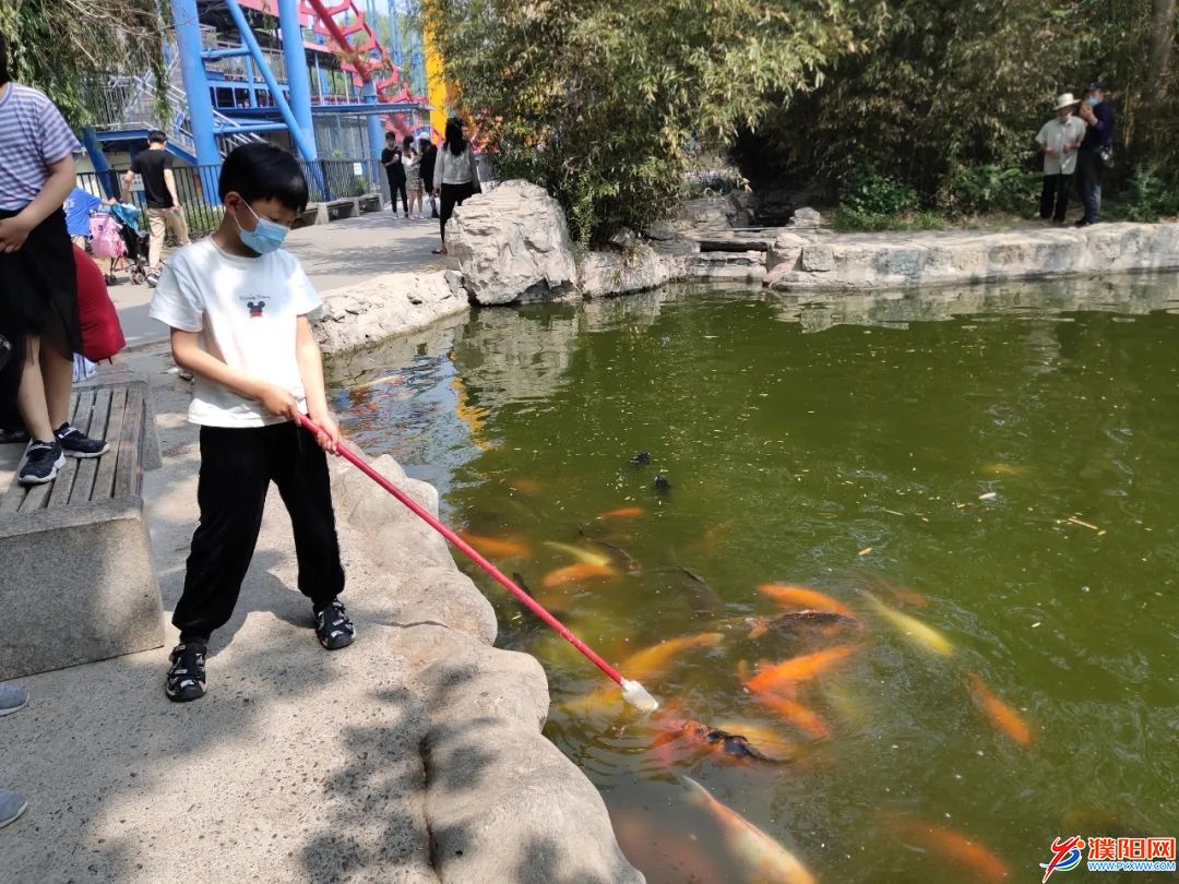 今年“五一”，濮阳人不出远门照样玩嗨！‘pp电子平台登录’(图1)