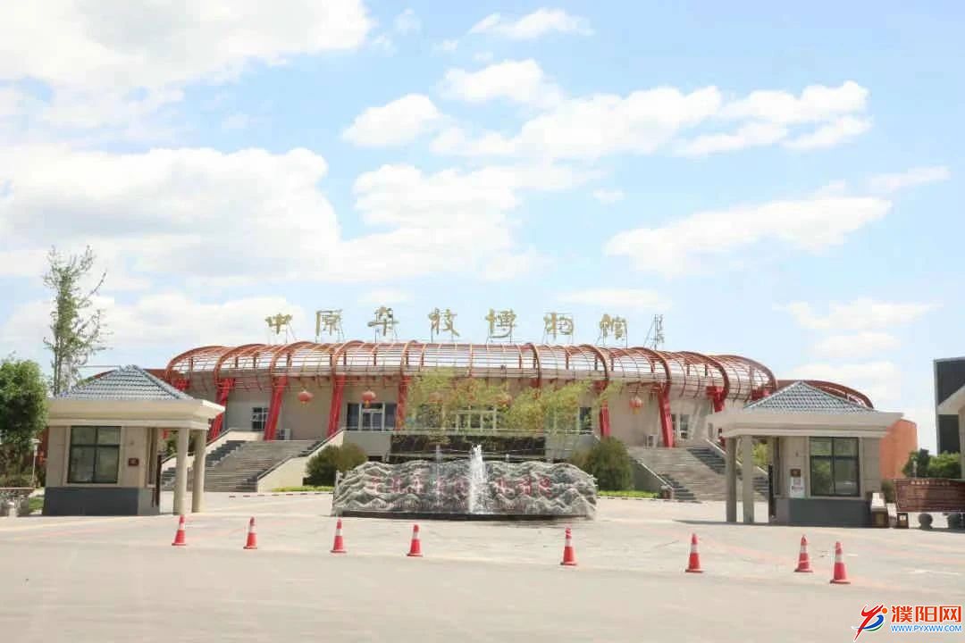 mmexport1617970124347.jpg