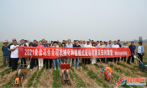 濮阳开展“麦套花生全程机械化种植模式现场观摩及田间课堂”活动“澳门永利老网址登录入口”(图1)