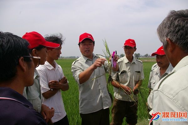 家家宜小红帽技术员为农民现场指导病虫害防治.JPG
