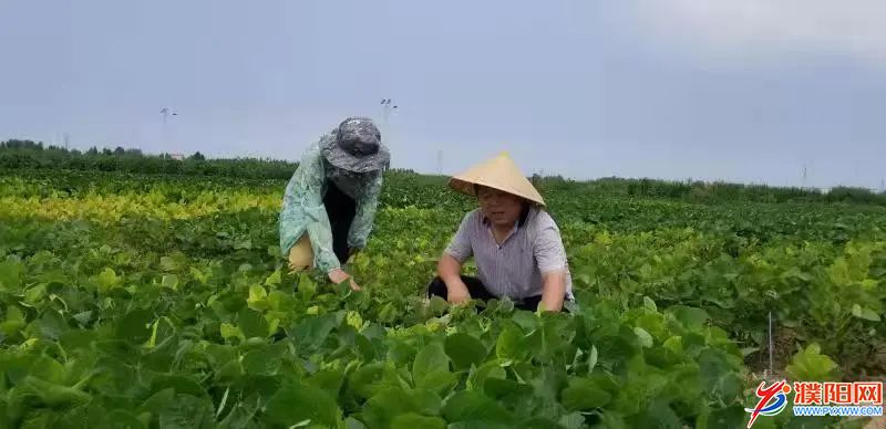 微信图片_20220530160639.jpg