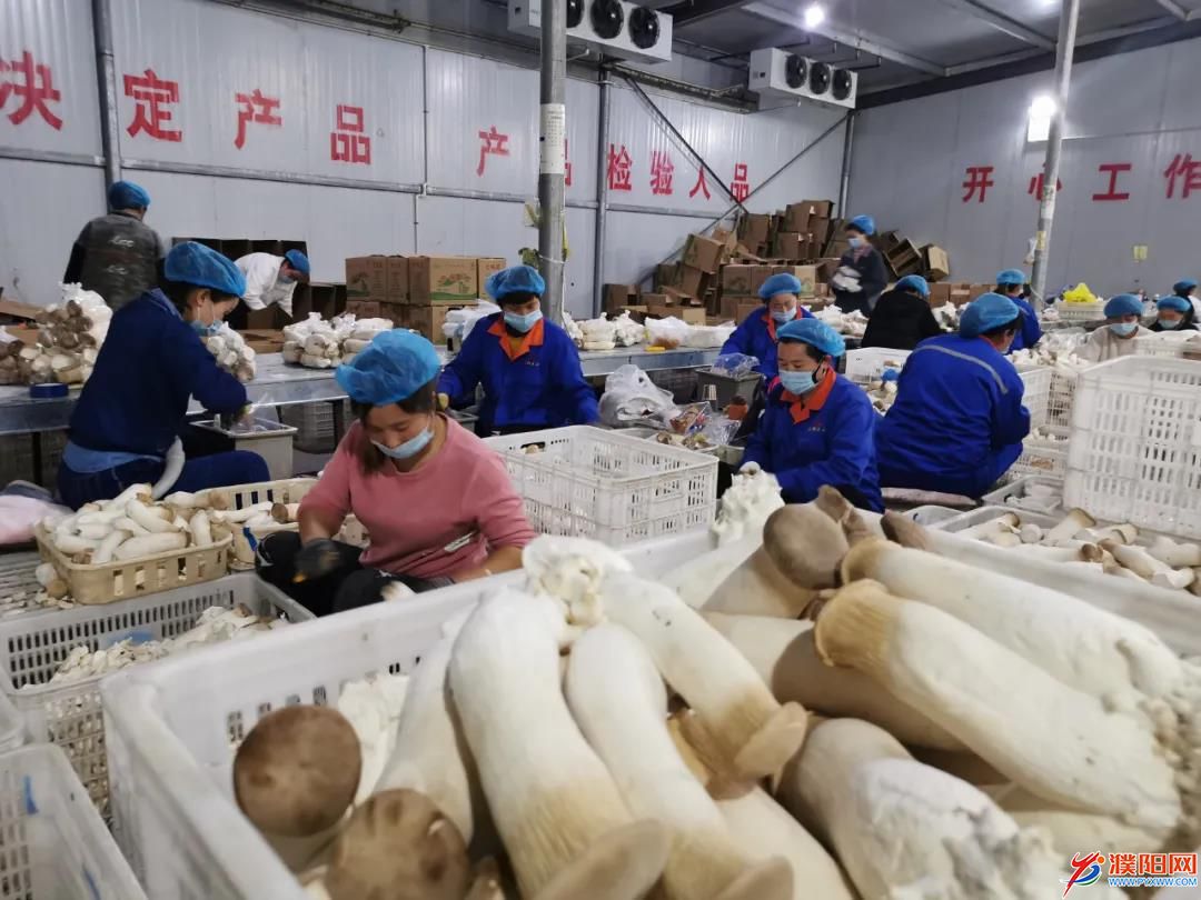 微信图片_20200330092345.jpg