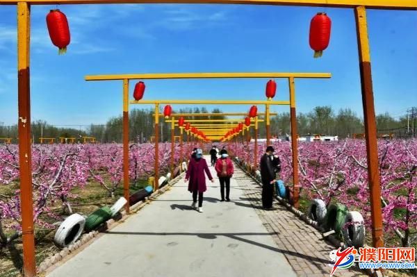微信图片_20200401091757.jpg