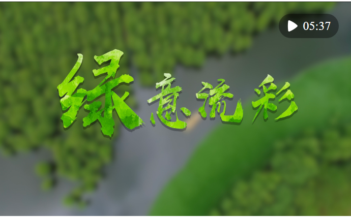 1675324170850.png