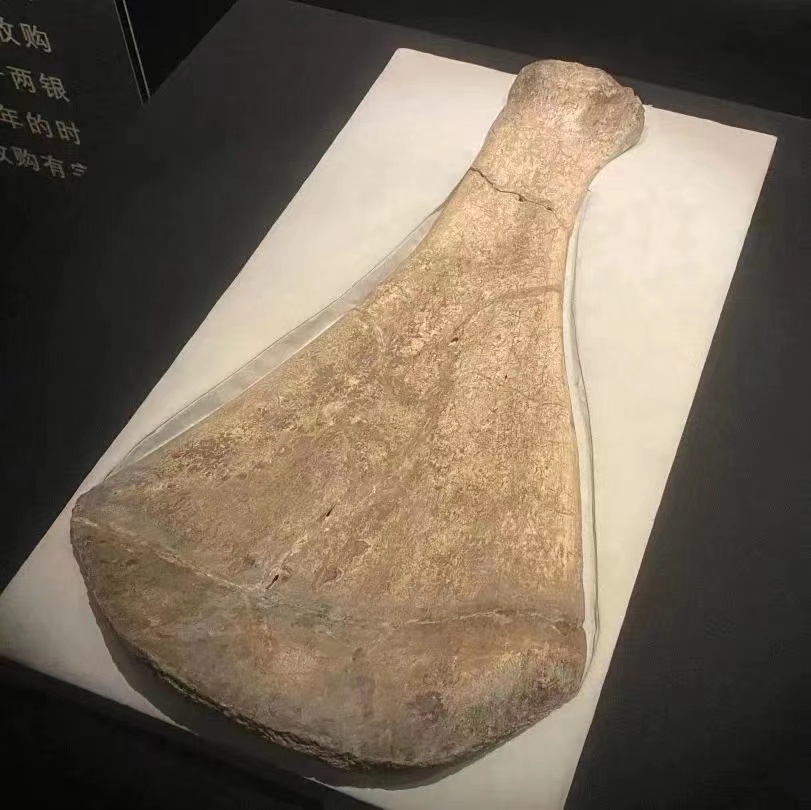 国图大展图4.jpg