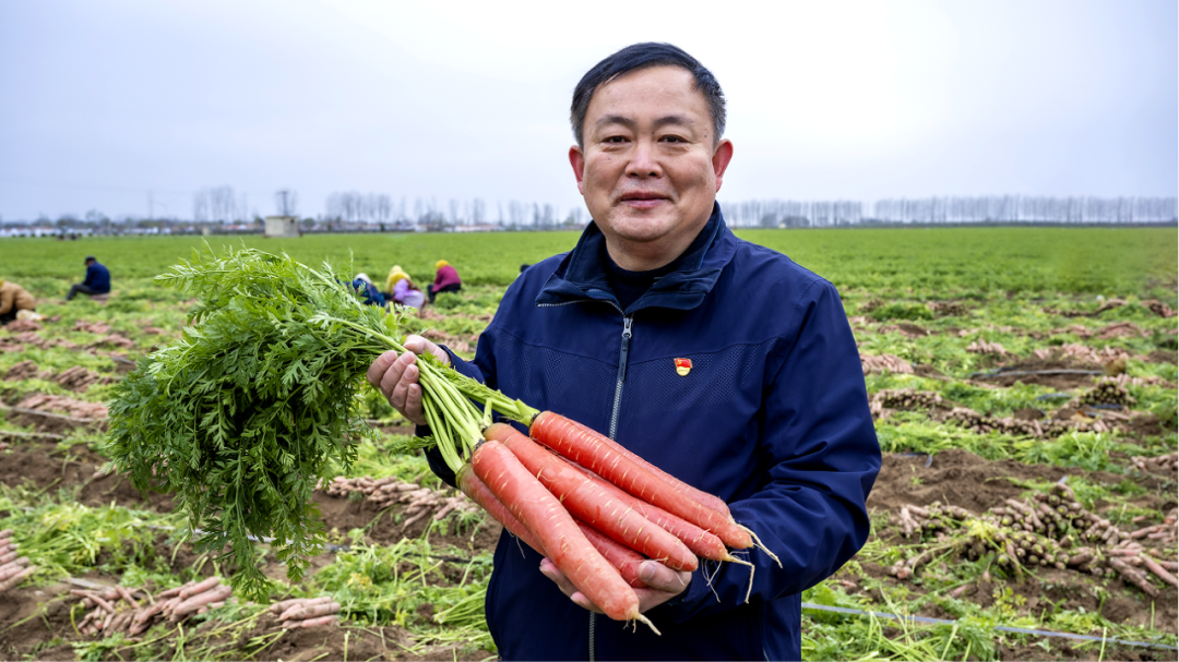 微信图片_20230303172720.png