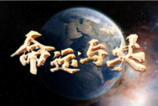 微视频 | 命运与共