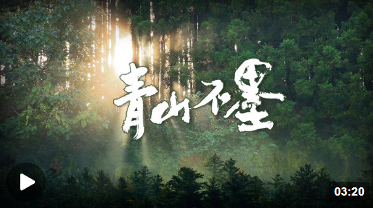 1680239092367389.png 1680239035251.png
