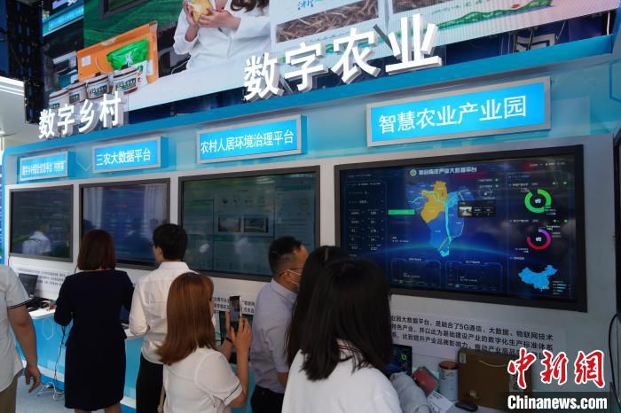图为观众参观数字农业平台展示。(资料图) 韩章云 摄