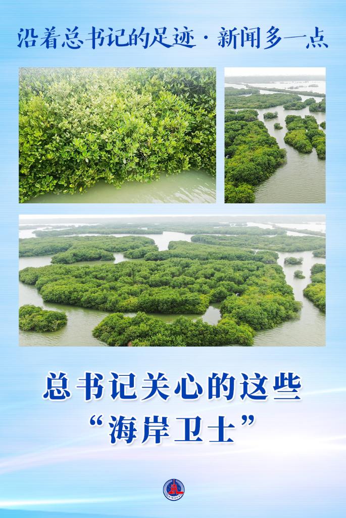 微信图片_20230412074805.jpg