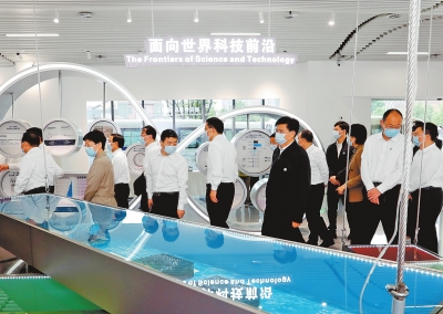 p31_b.jpg