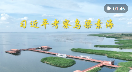 1686184189301152.png image.png