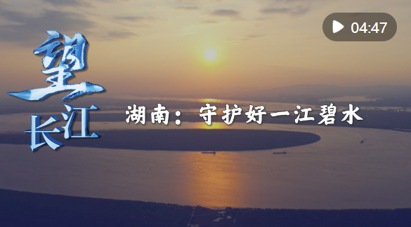 1689666519379016.png image.png