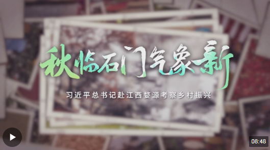 c240cf012684c1cf1b4b83f452fa5056.png image.png
