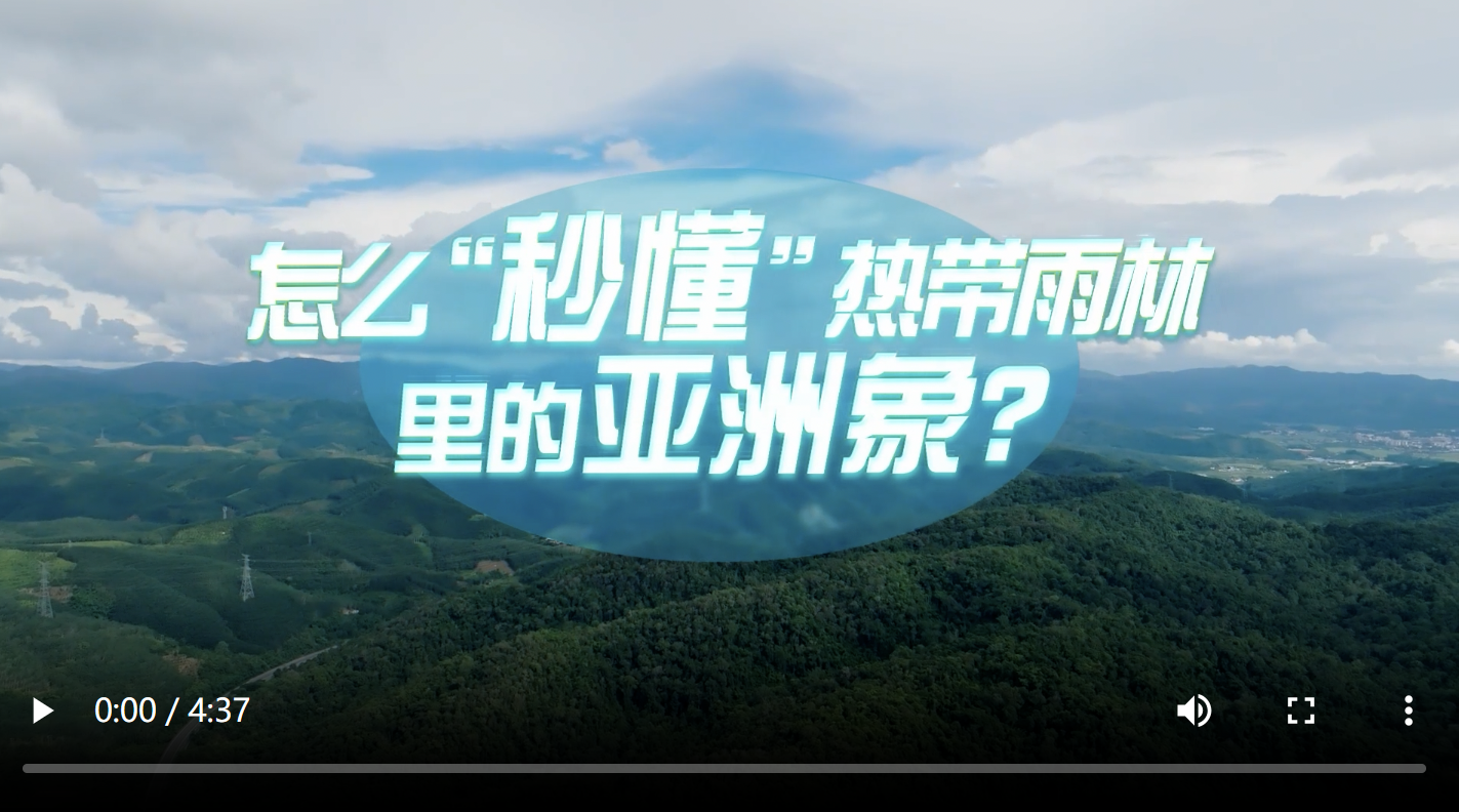 2ebd12105bf9915ed3e7106fa6d8cf8c.png