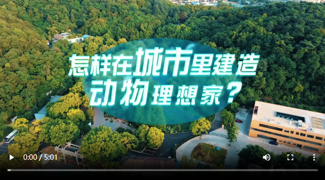 1700469521390.png