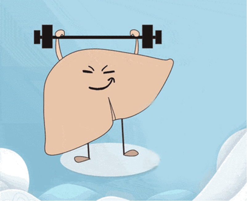 4.gif